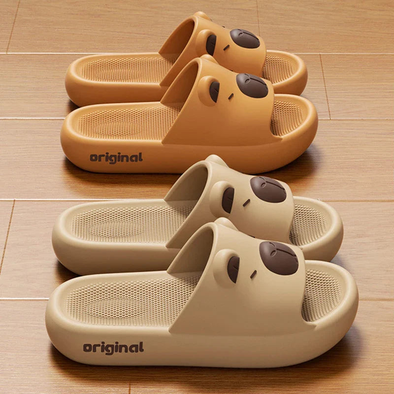 Capy Slides