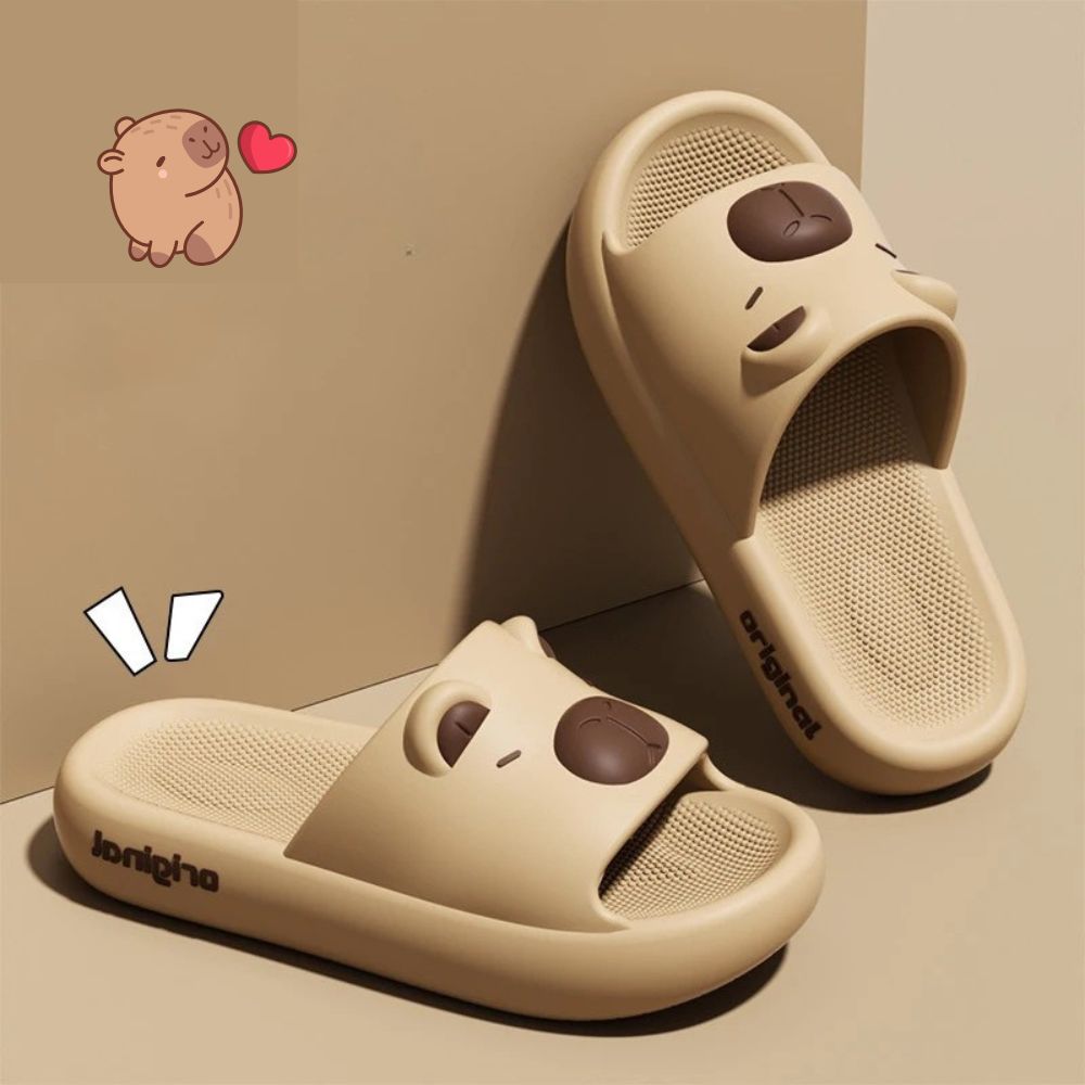 Capy Slides