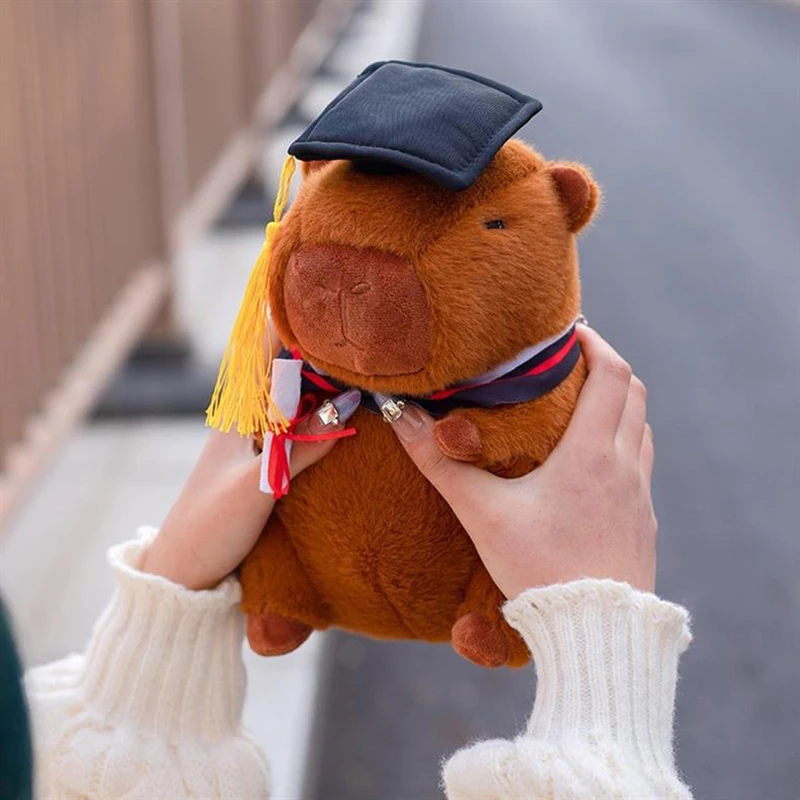 Graduation Capy Plush