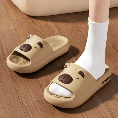 Capy Slides