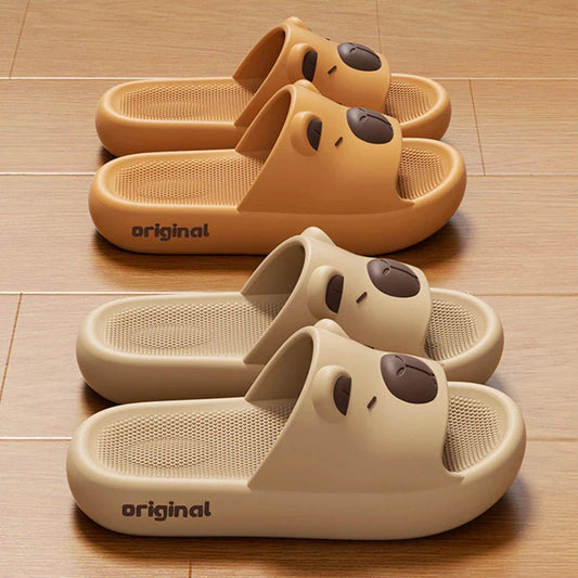 Capy Slides
