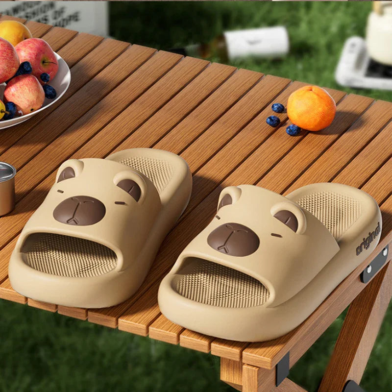 Capy Slides